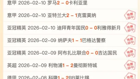 霍芬海姆对圣保利，德甲赛事专家推荐及比分分析